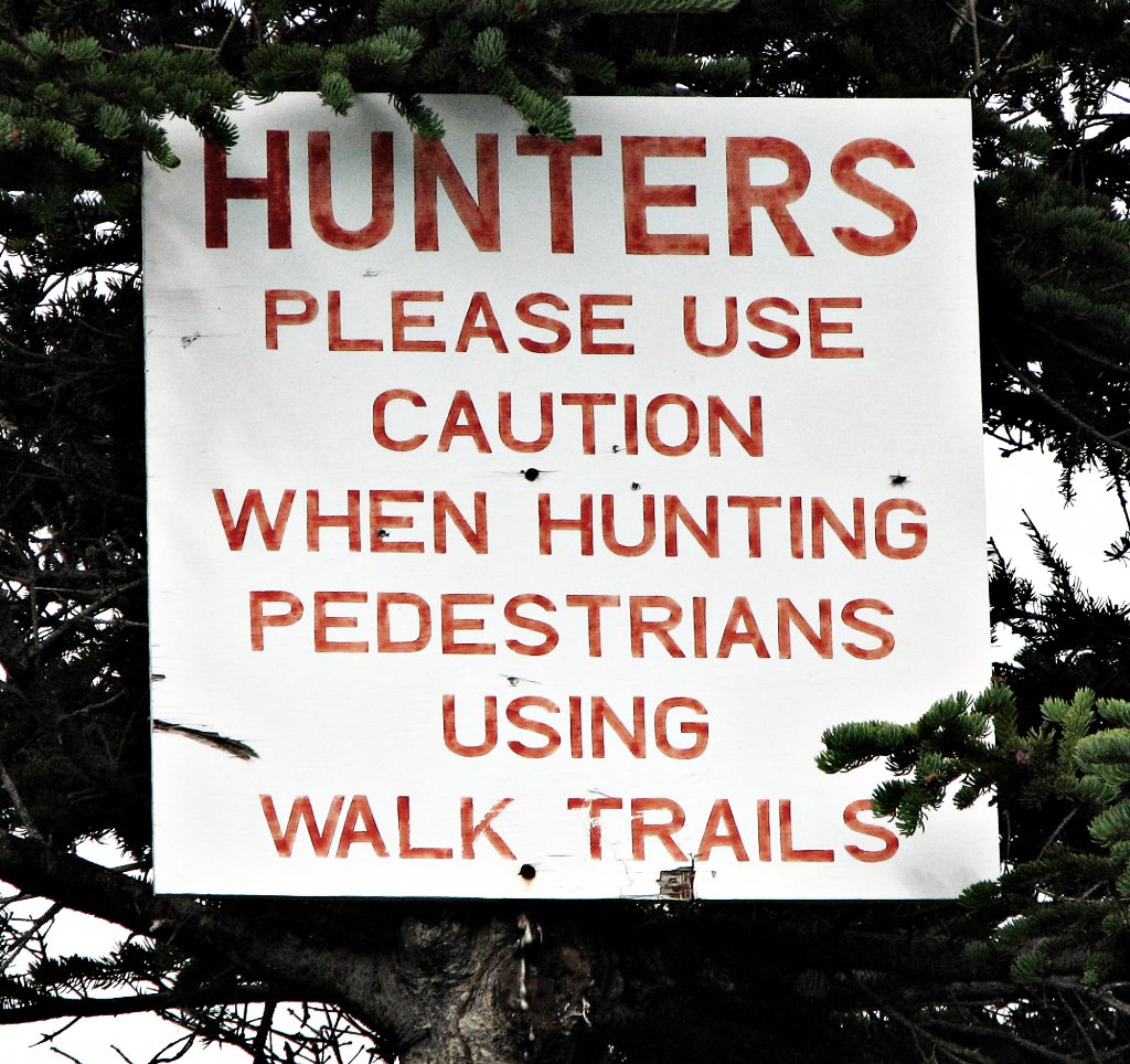 hunters use caution when shooting pedestrians on the walkway